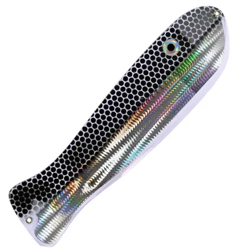 8166086.jpg